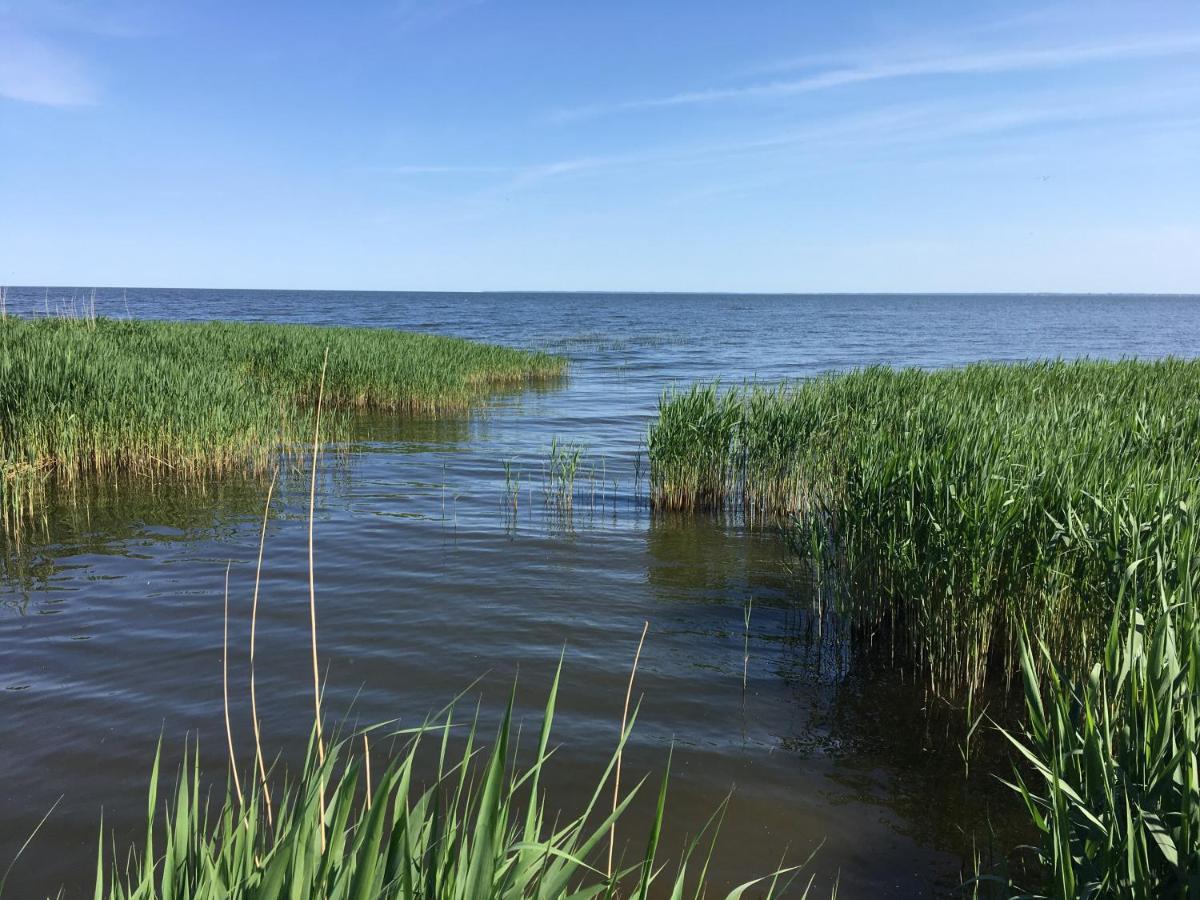 Landhaus Am Haff Stolpe auf Usedom Ngoại thất bức ảnh