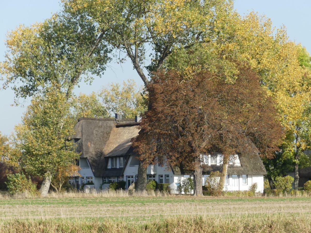 Landhaus Am Haff Stolpe auf Usedom Ngoại thất bức ảnh